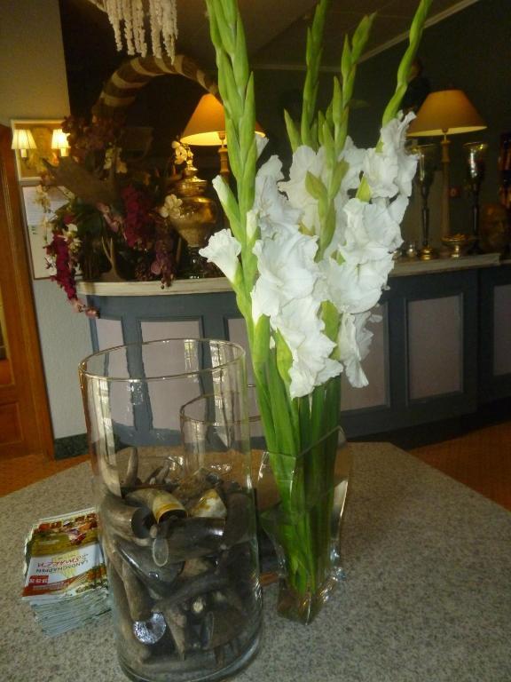 Chalet Sur Lesse Hotel Maissin Luaran gambar